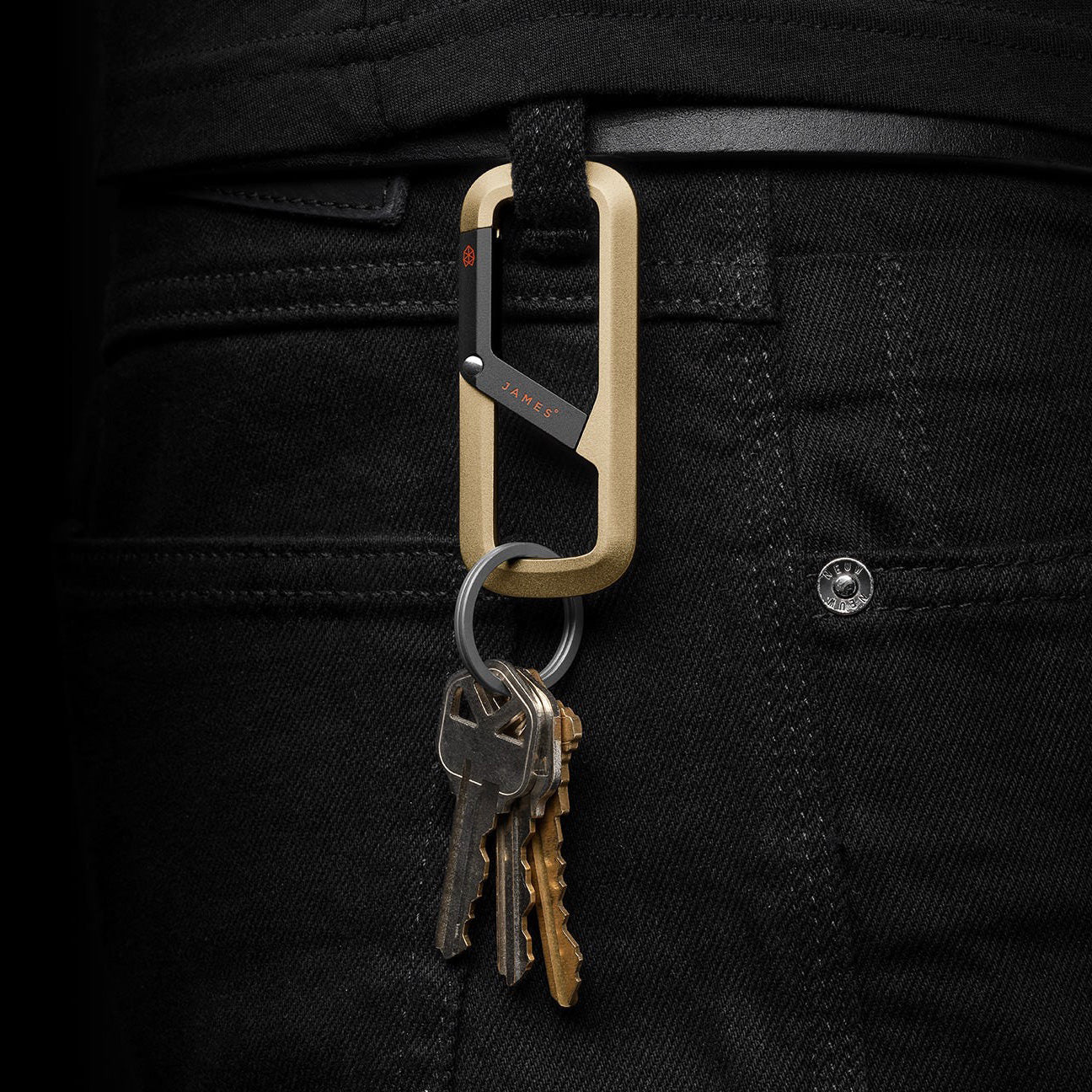 The Madison Carabiner (Gold + Black)