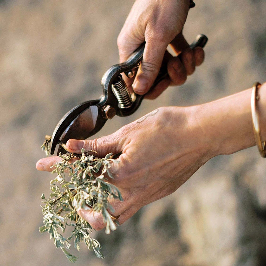 Pruning Shears + Sheath