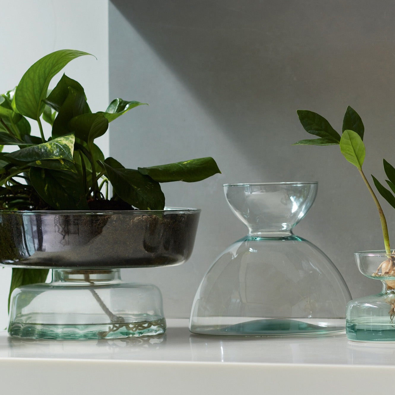 Canopy Self-Watering Planter (Large)