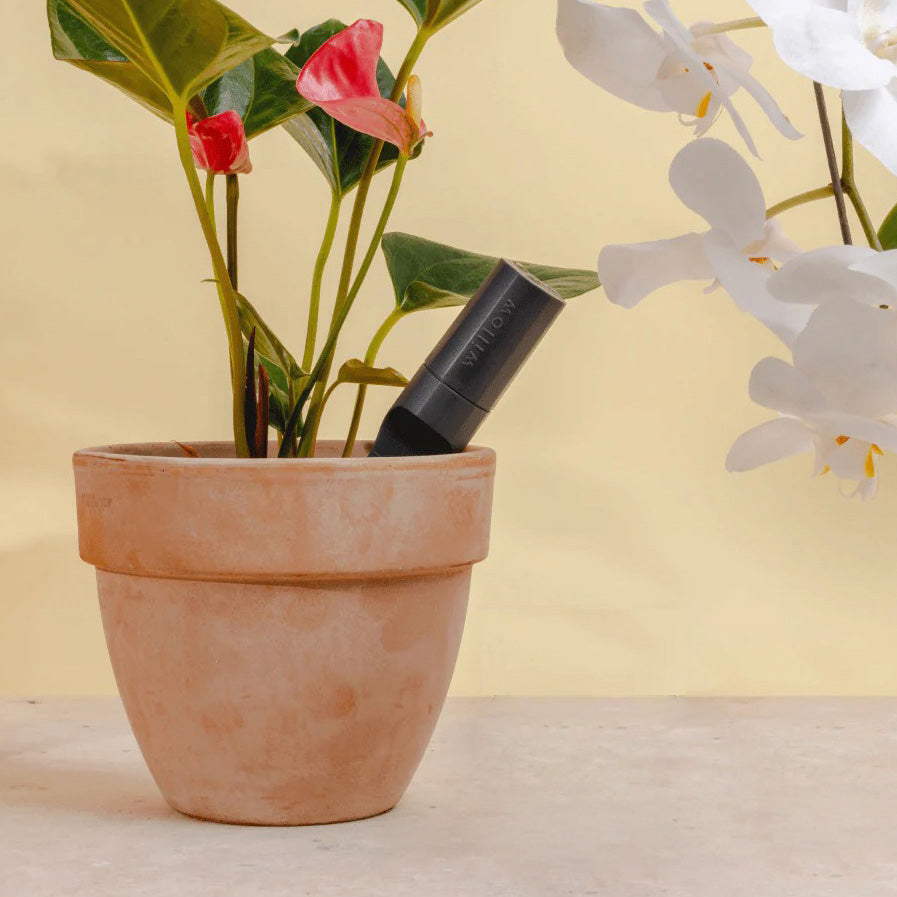 Additional Bluetooth Smart Plant Sensor