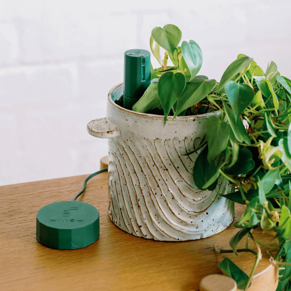 Bluetooth Smart Plant Sensor Set (Green)