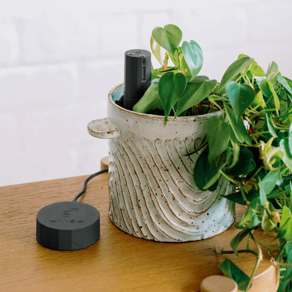 Bluetooth Smart Plant Sensor Set (Charcoal)