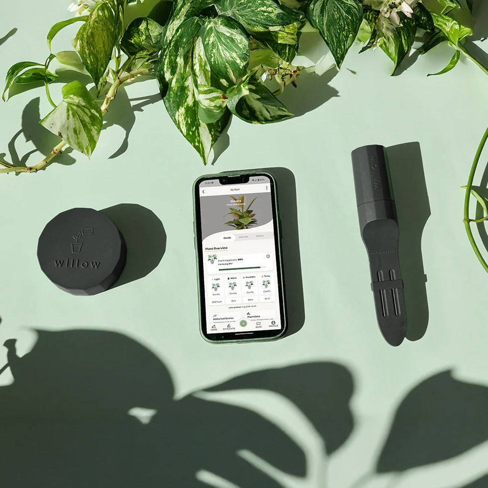 Bluetooth Smart Plant Sensor Set (Charcoal)