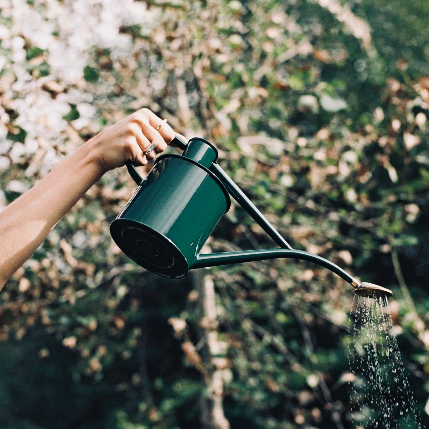 Rowley Ripple Watering Can