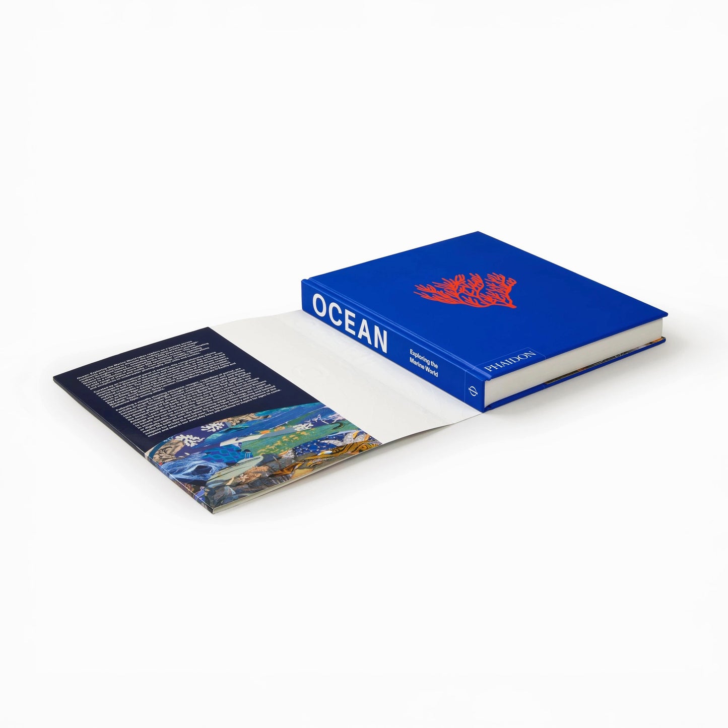 Ocean: Exploring the Marine World