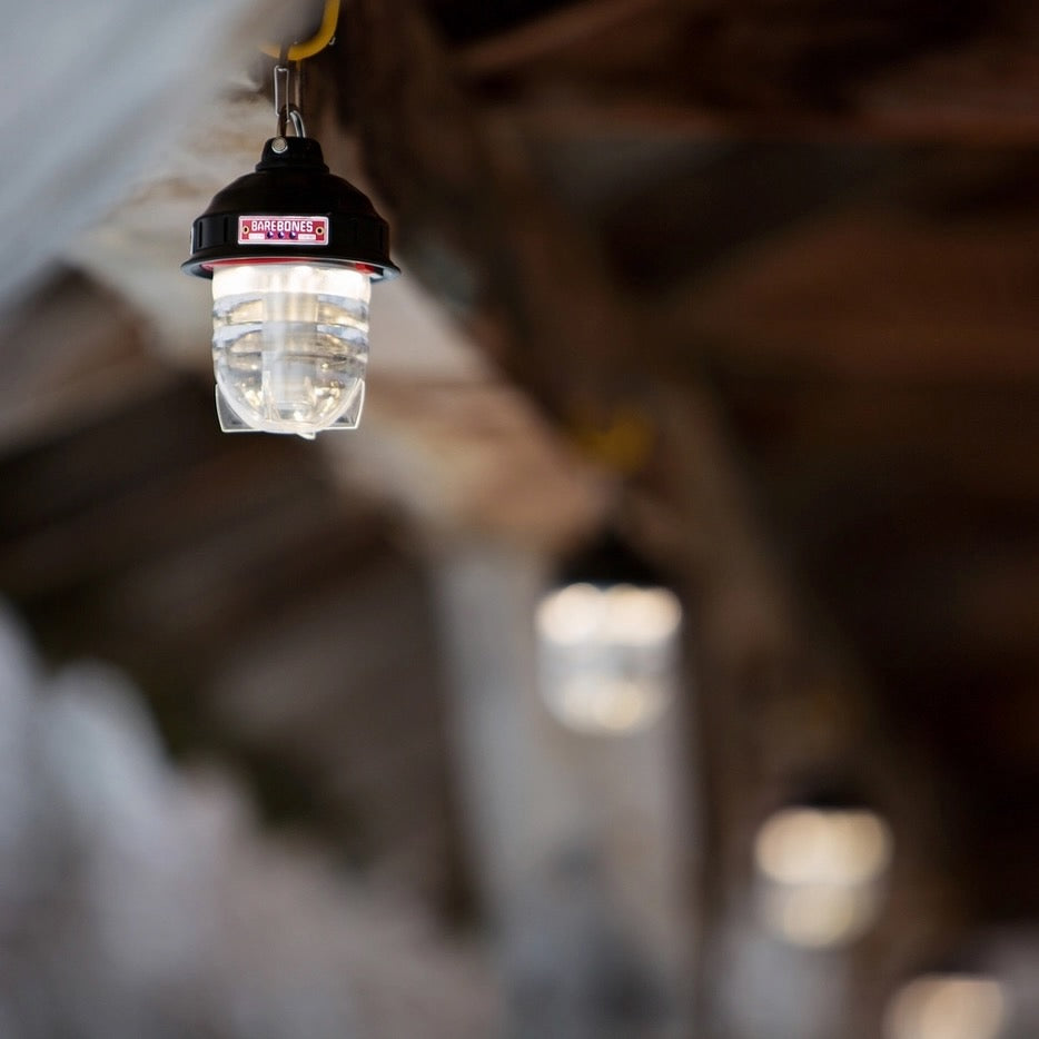 Beacon Hanging Lantern (Vintage Bronze)