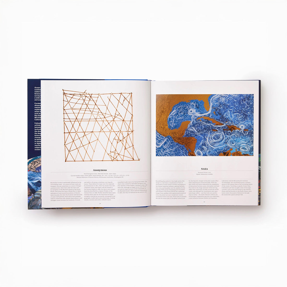 Ocean: Exploring the Marine World