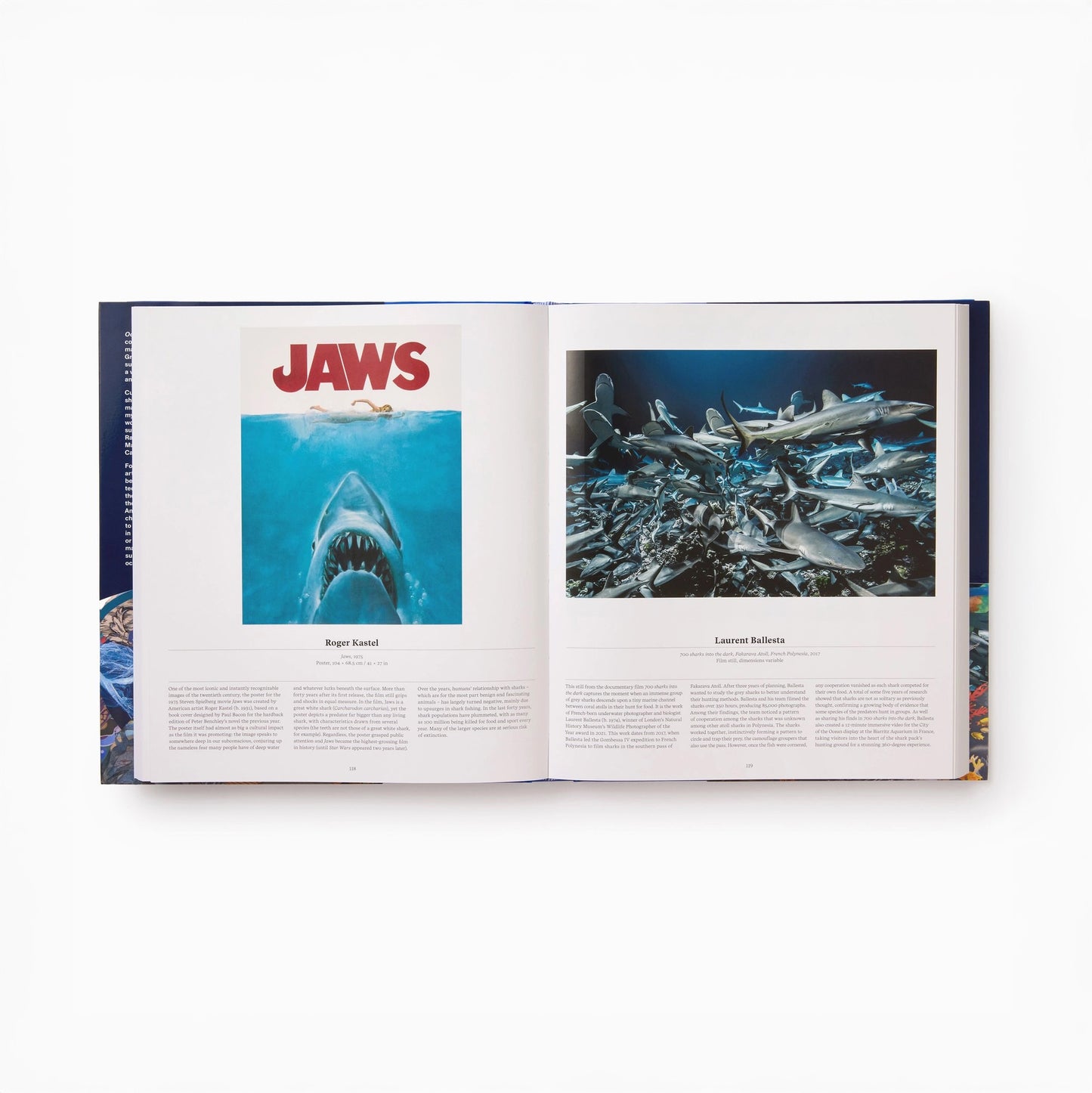 Ocean: Exploring the Marine World