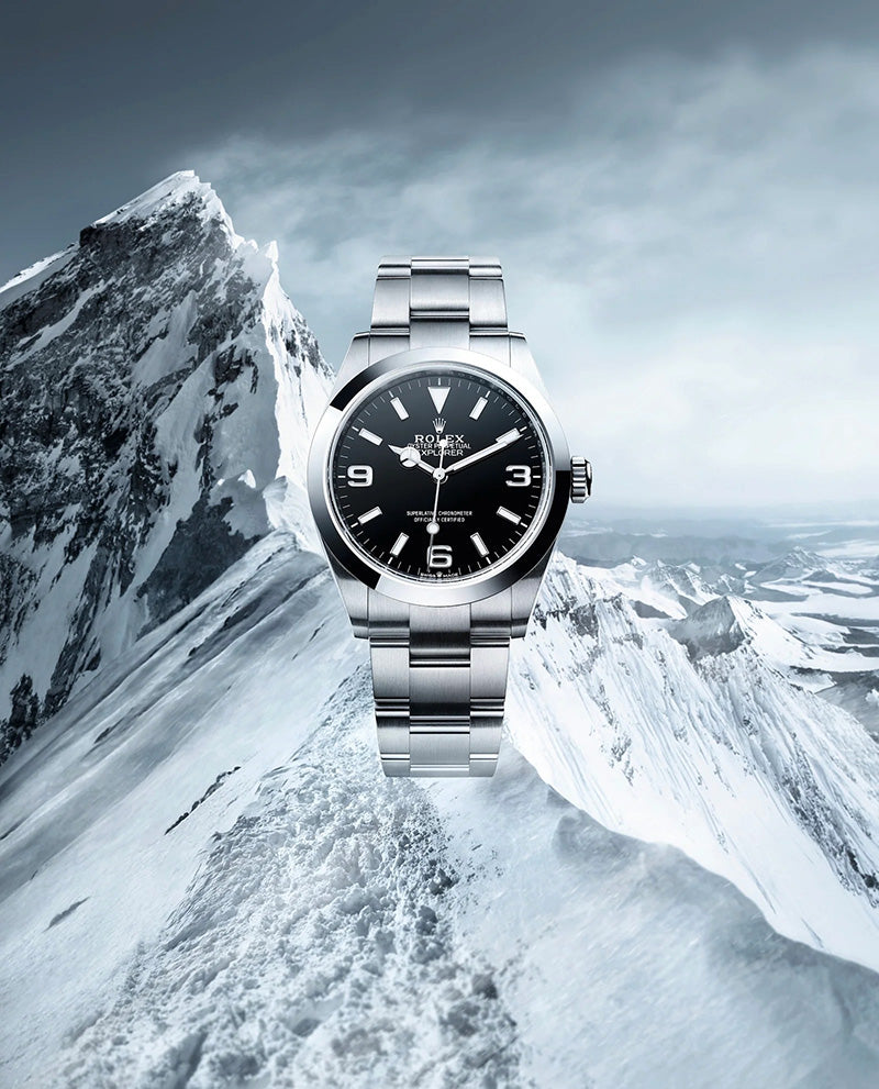 The Watch Book Rolex