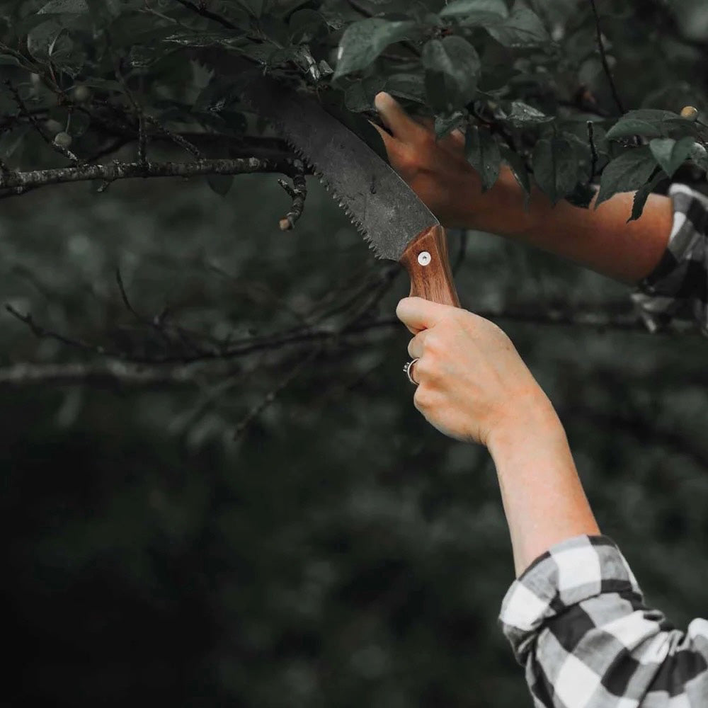 Timber Saw