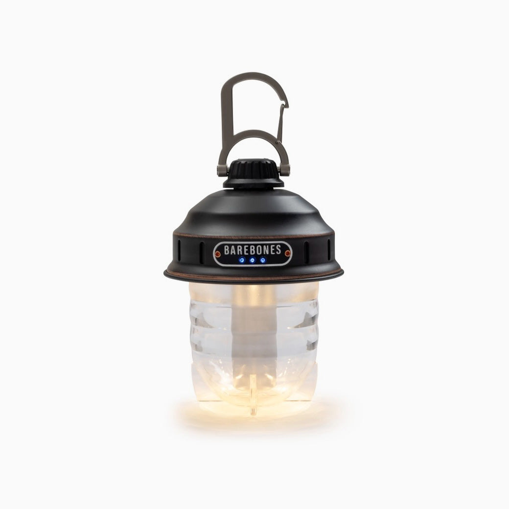 Beacon Hanging Lantern (Vintage Bronze)