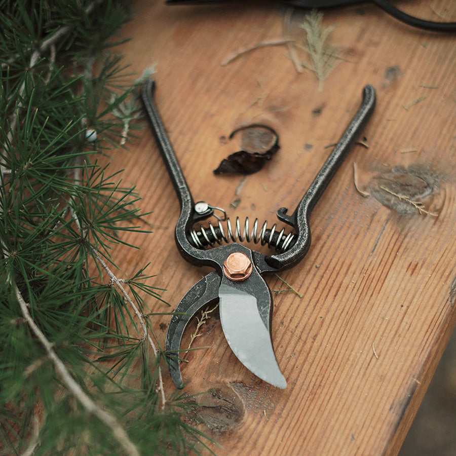 Pruning Shears + Sheath