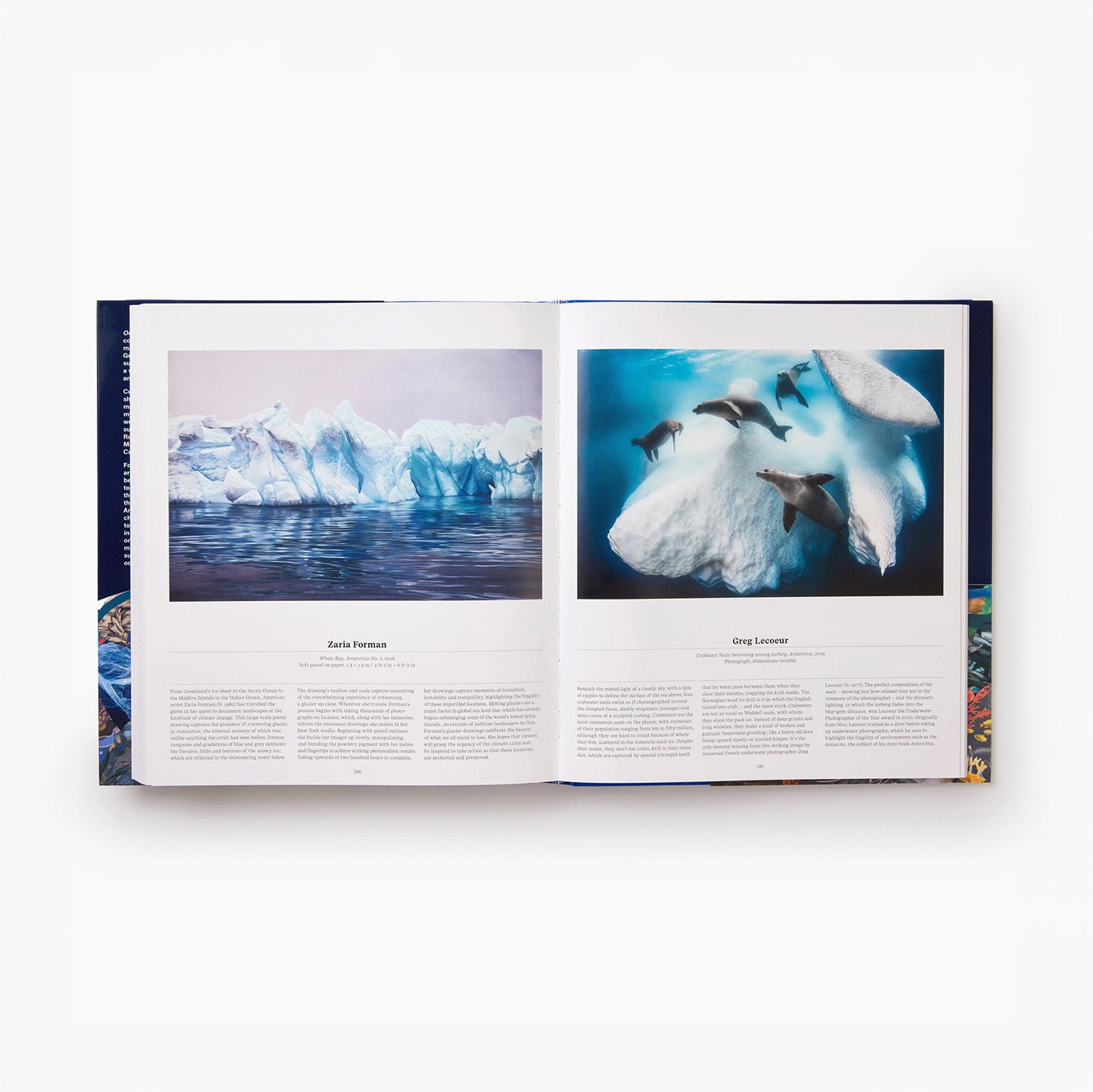 Ocean: Exploring the Marine World