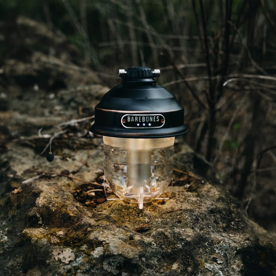 Beacon Hanging Lantern (Vintage Bronze)