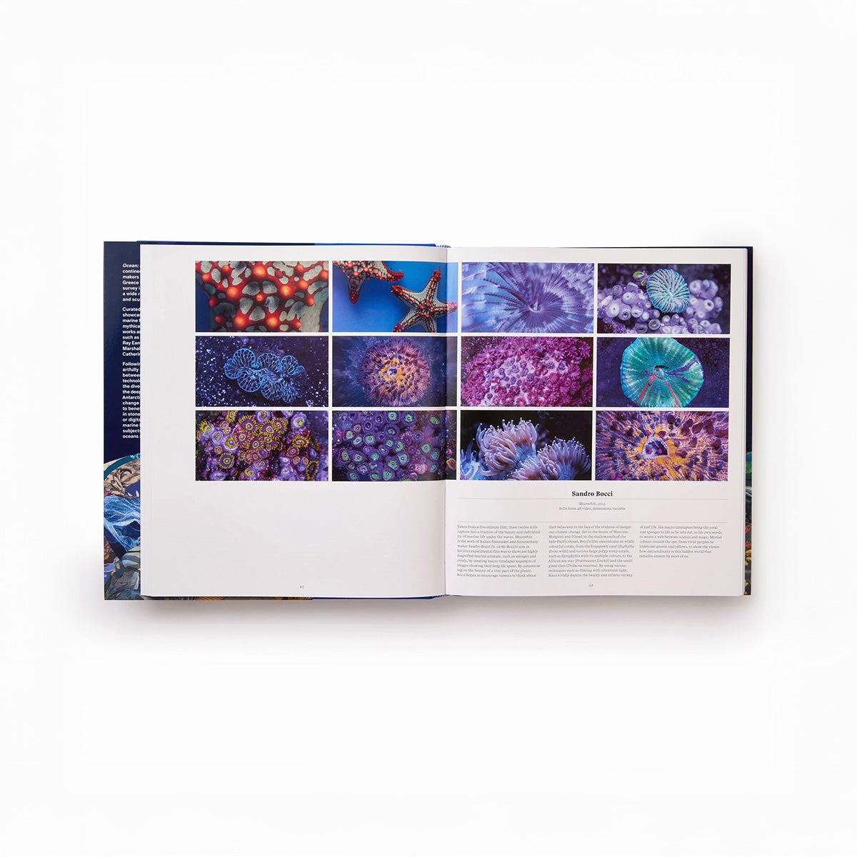 Ocean: Exploring the Marine World