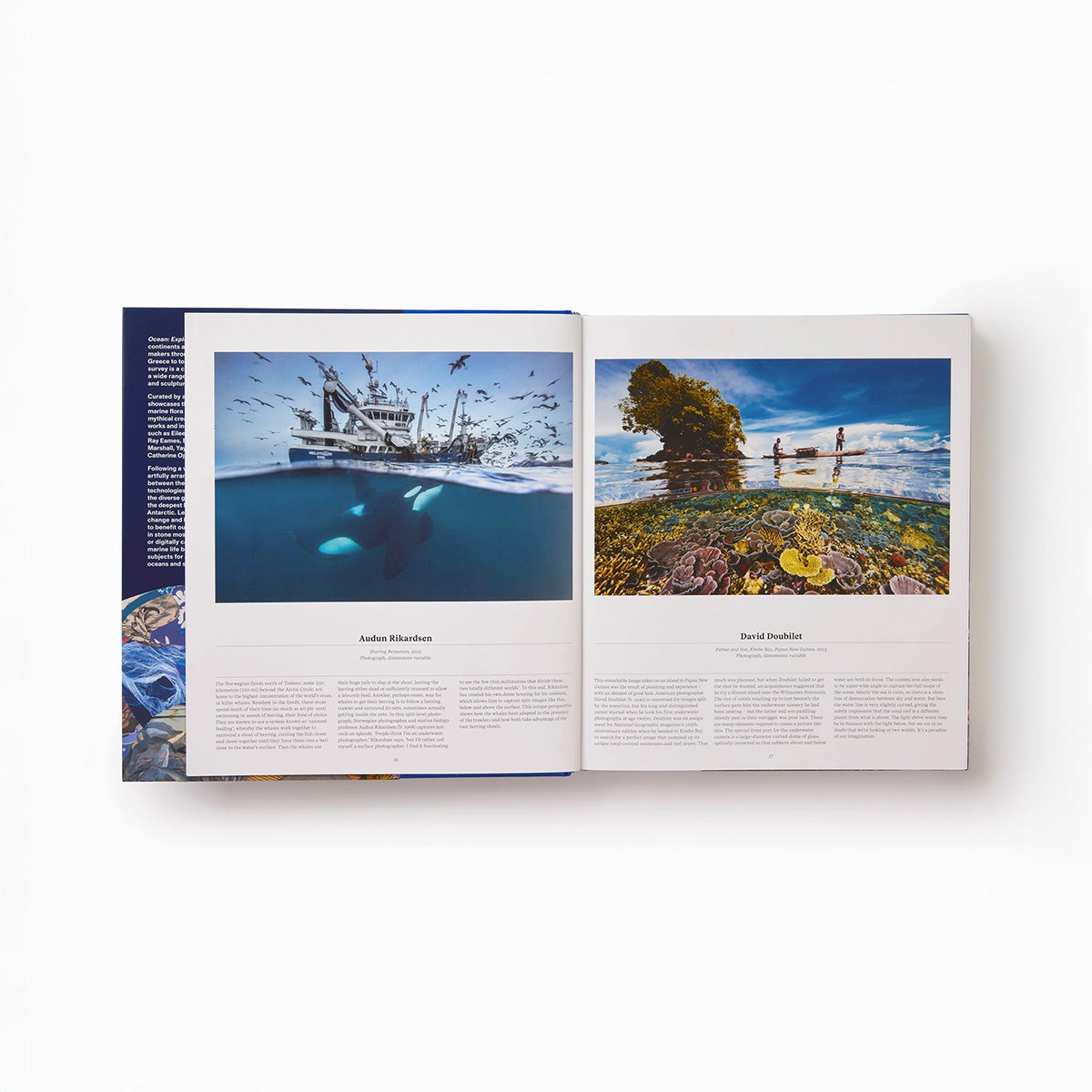 Ocean: Exploring the Marine World