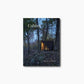 Cabins: Escape to Nature