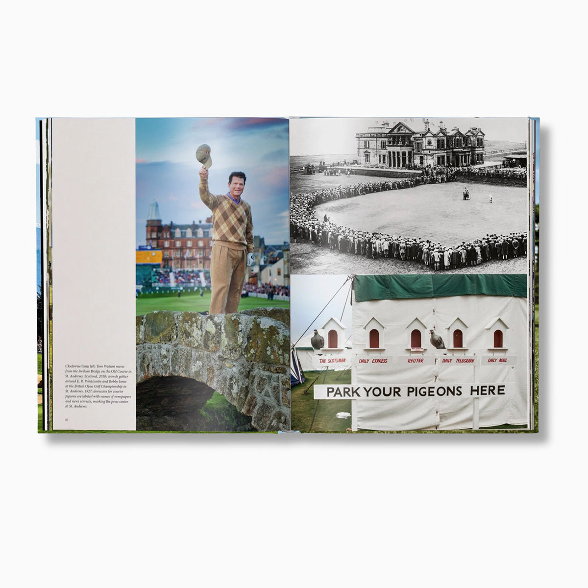 The Stylish Life: Golf