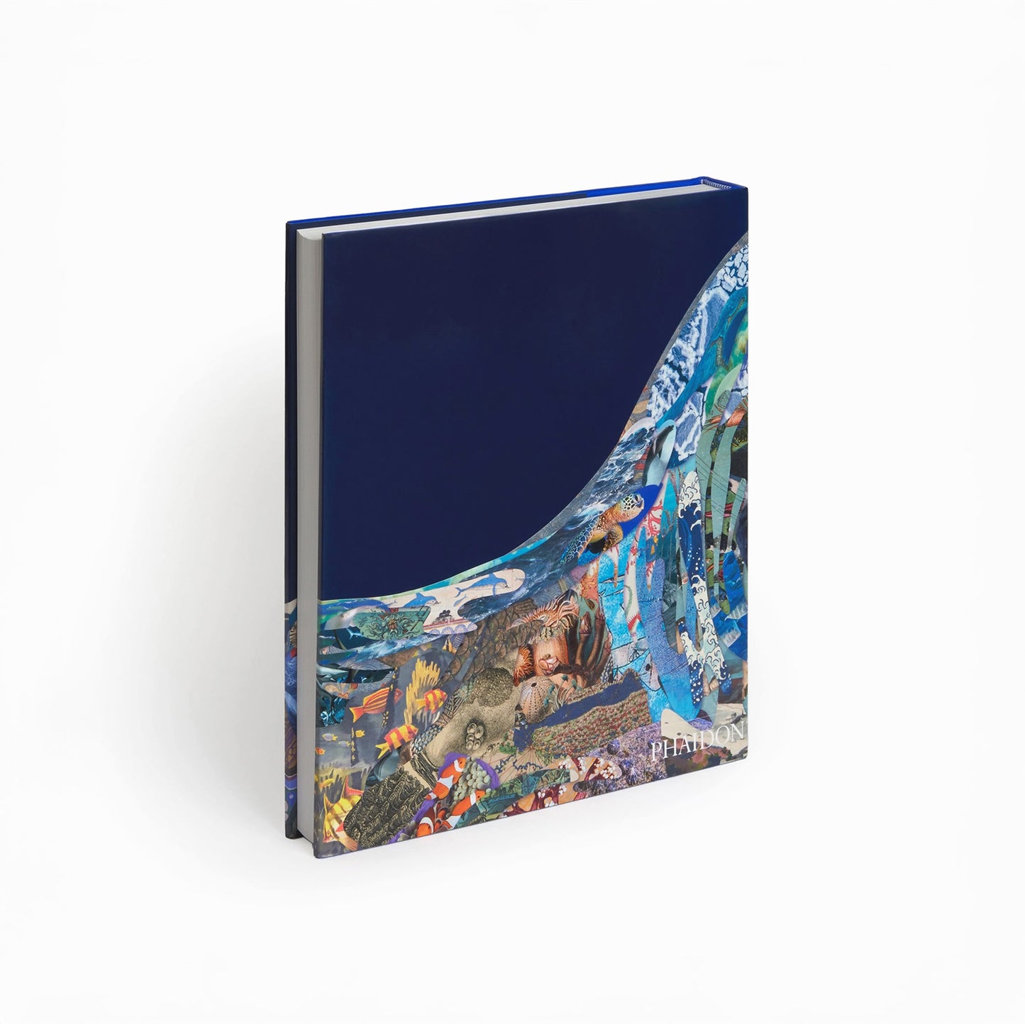 Ocean: Exploring the Marine World