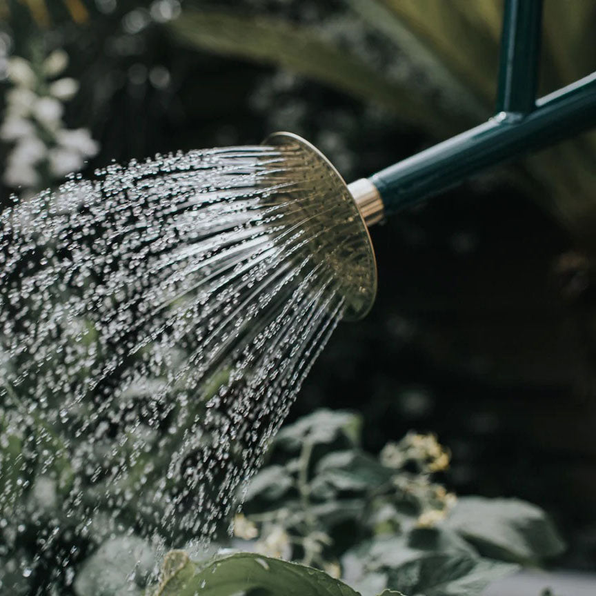 Bearwood Brook Watering Can