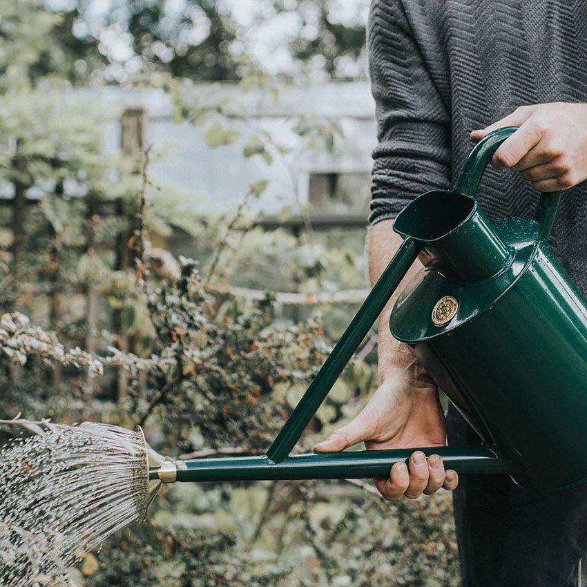 Bearwood Brook Watering Can