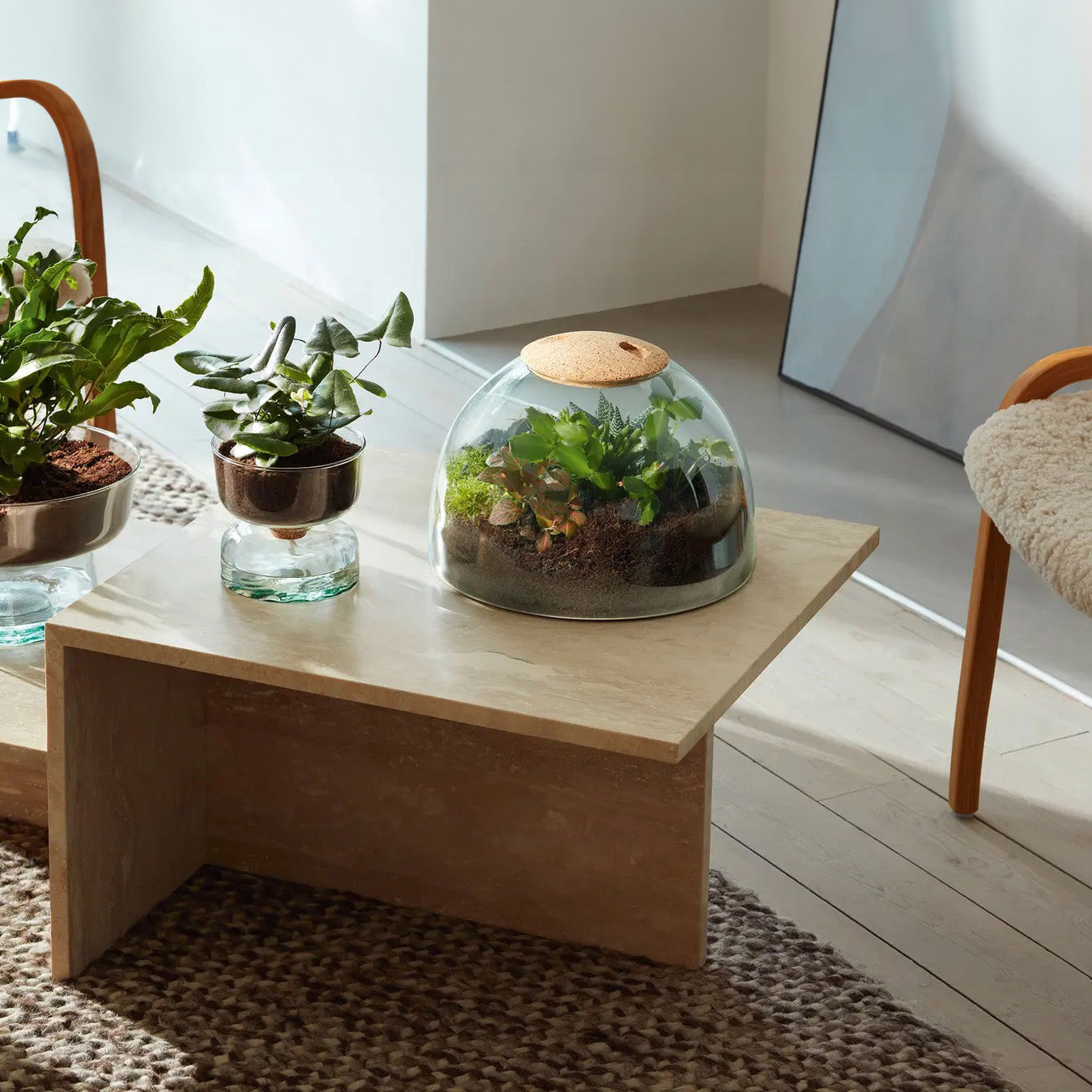 Canopy Terrarium (Large)