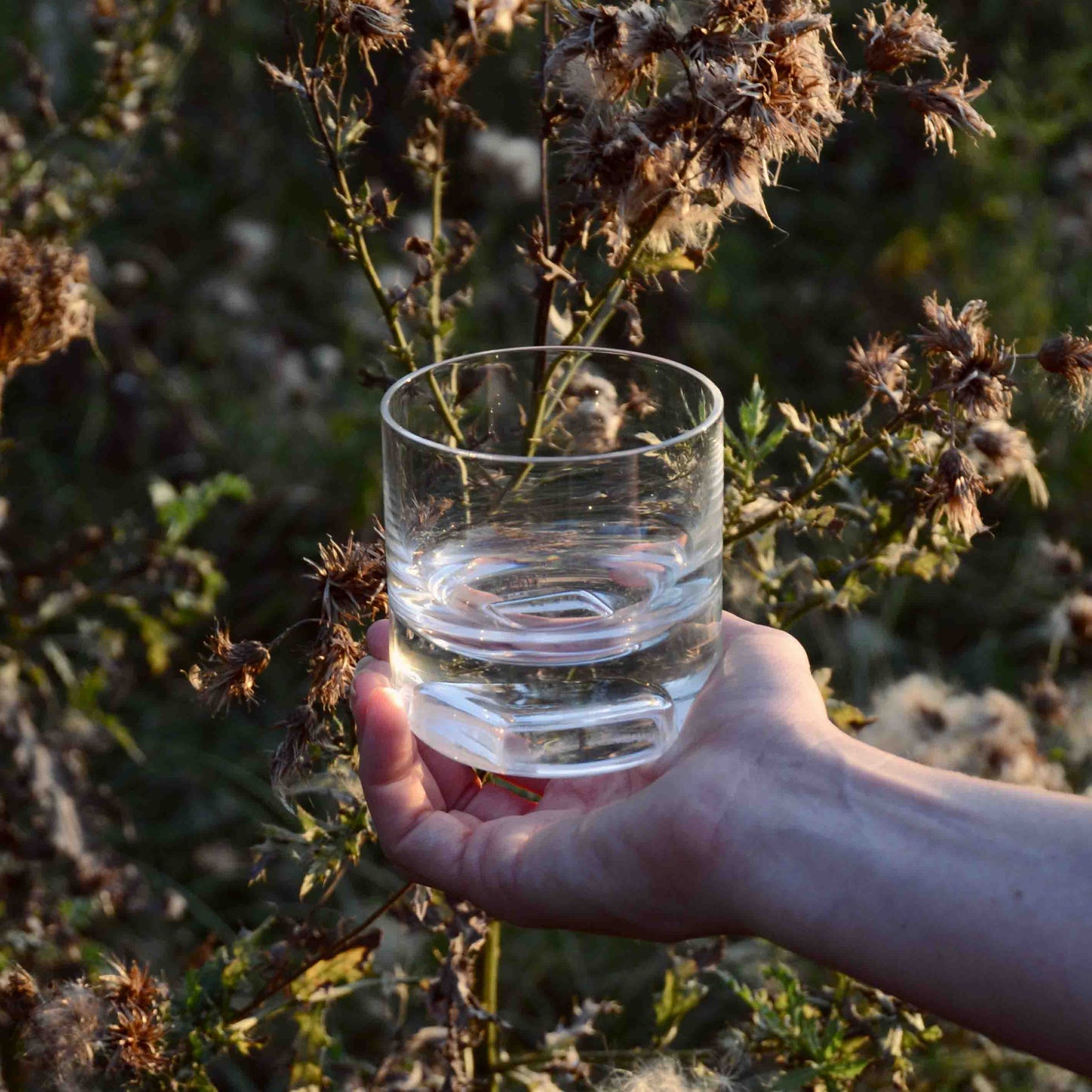 Cask Whisky Tumblers