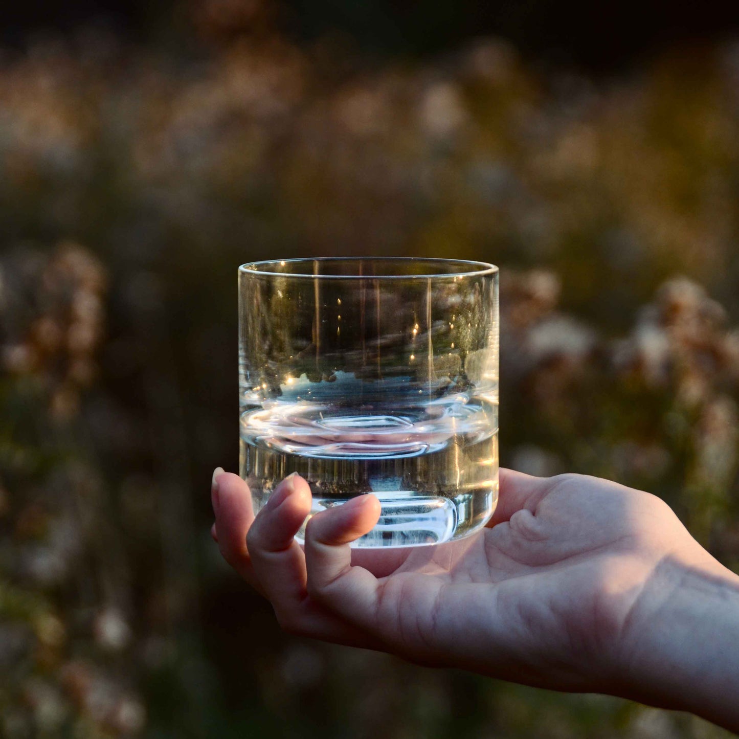 Cask Whisky Tumblers