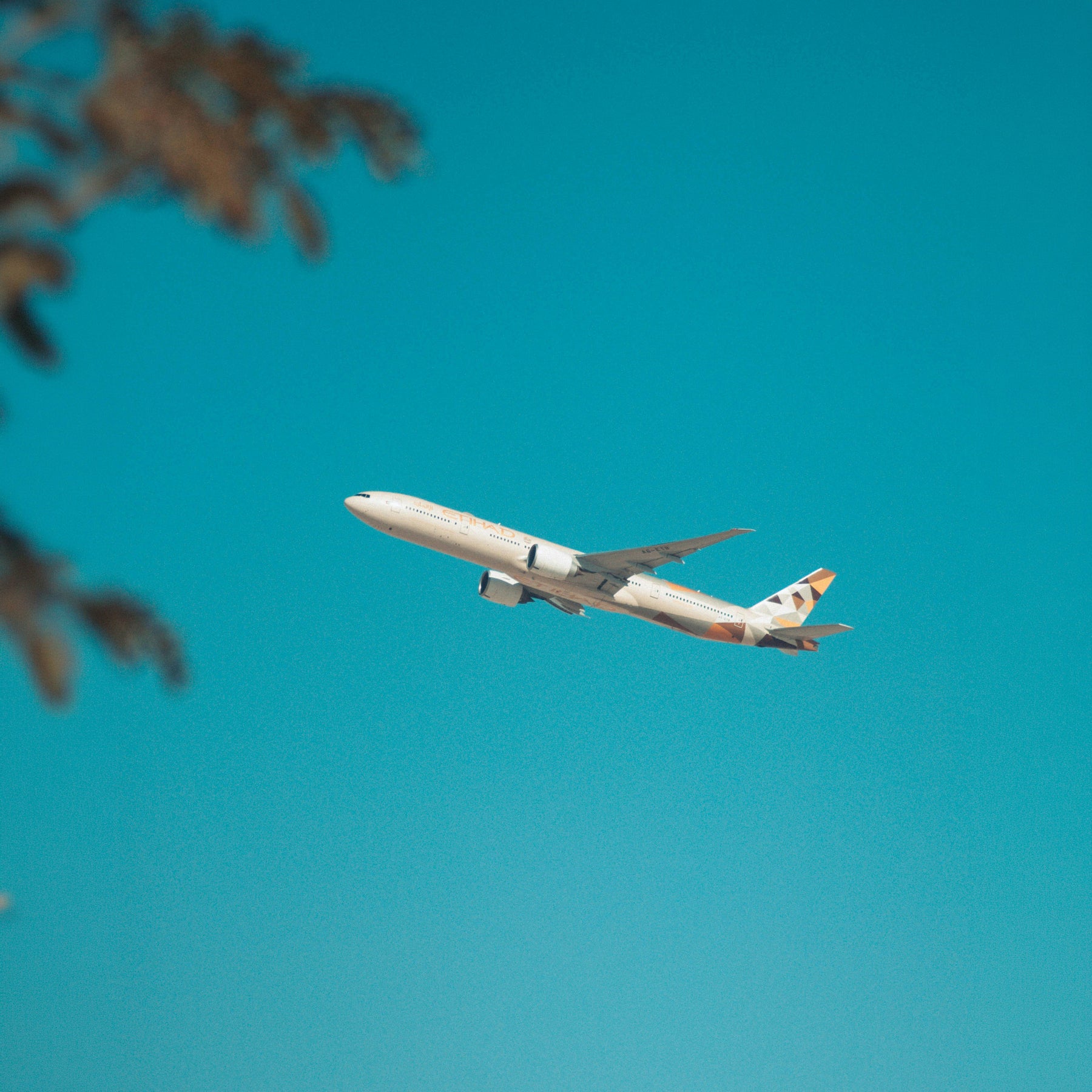 The Jet-Setter