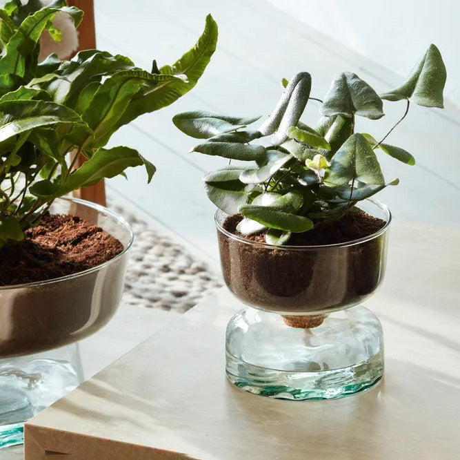 Canopy Self-Watering Planter