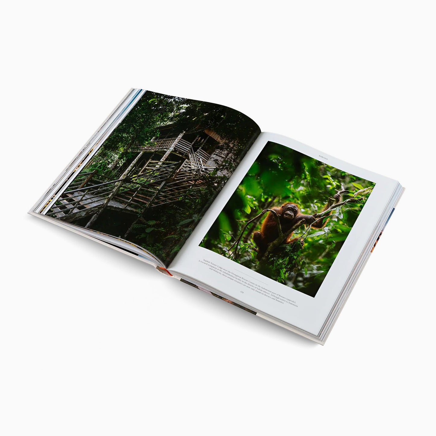 Life on the Road: Around the World on Four Wheels