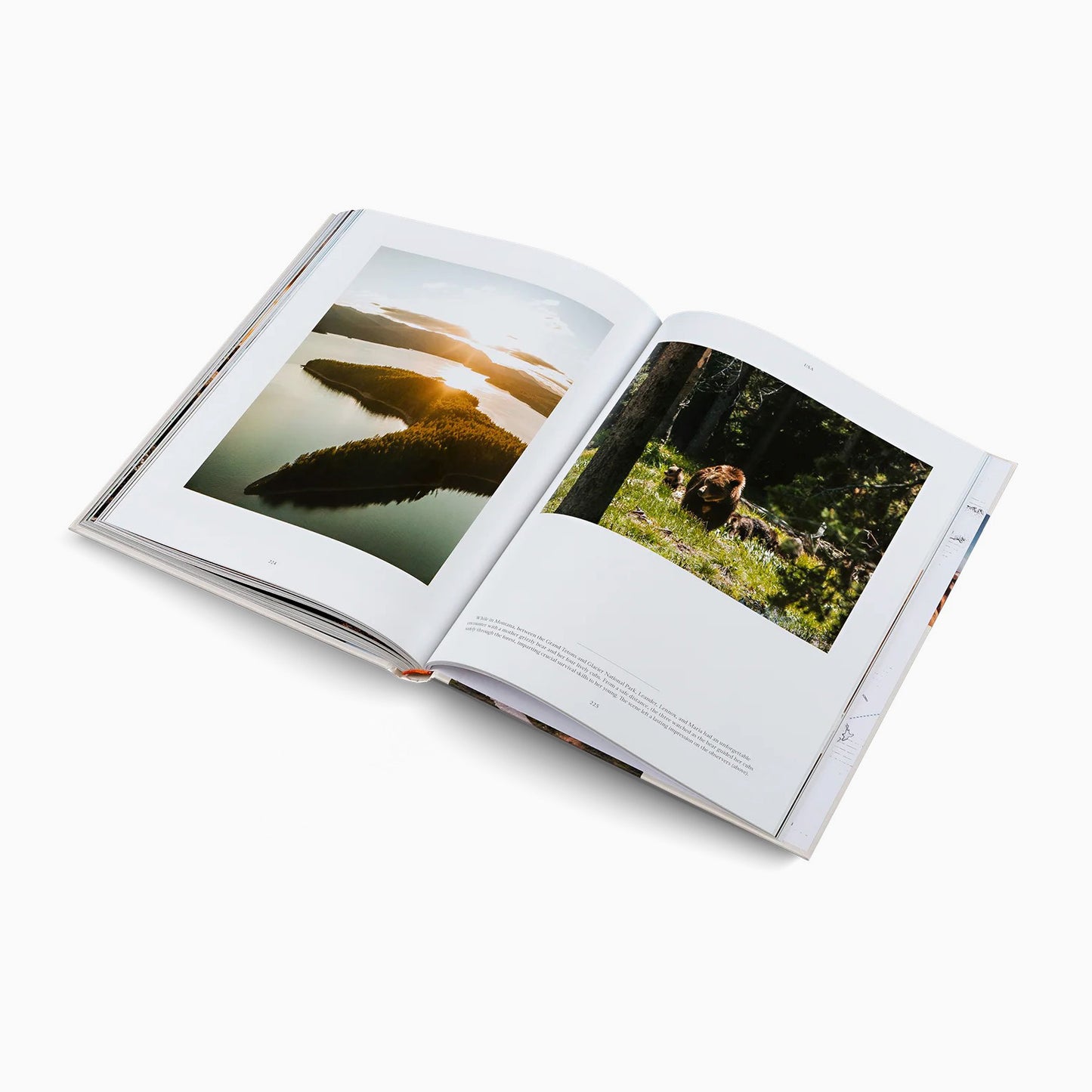 Life on the Road: Around the World on Four Wheels