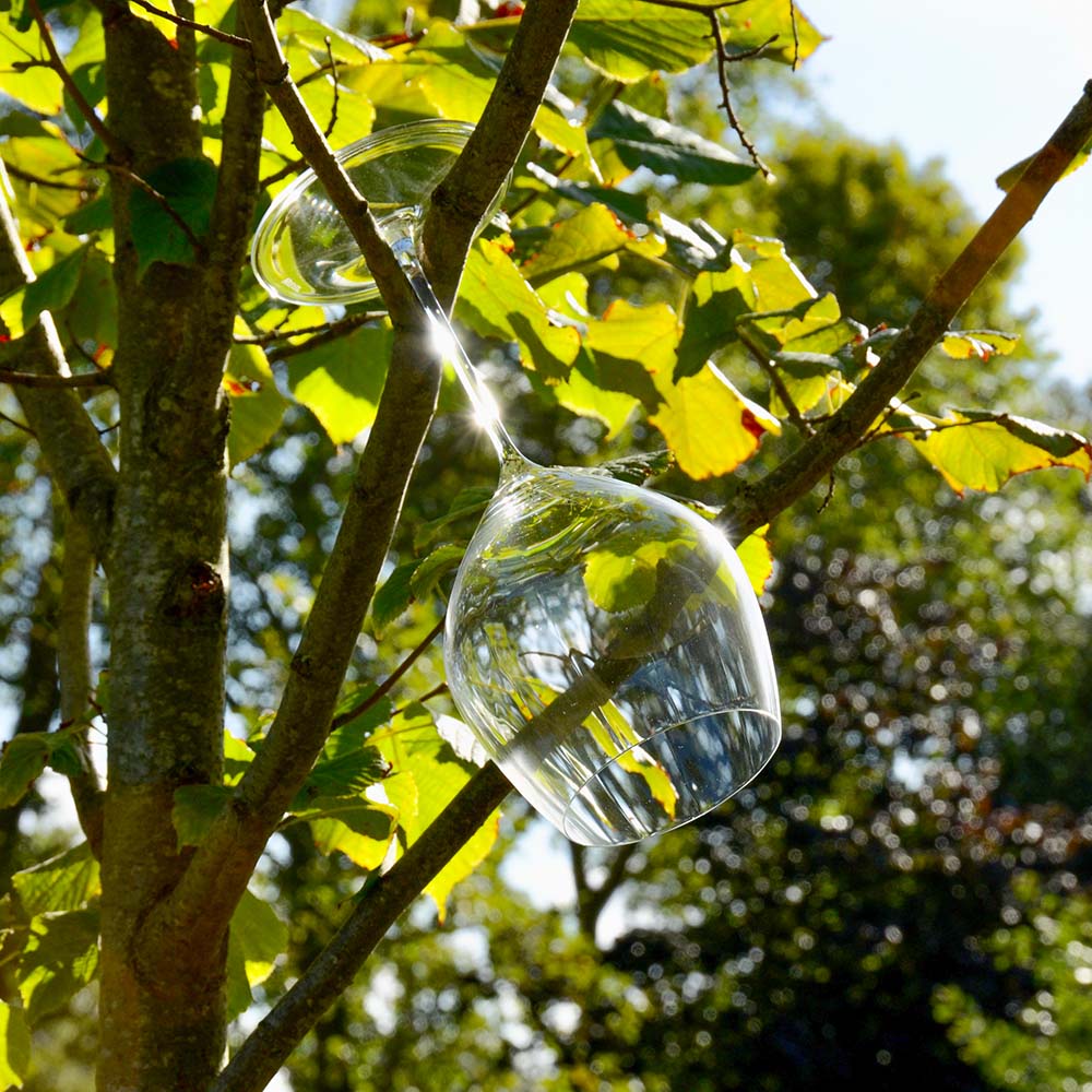 Performance Wine Glasses (Four)