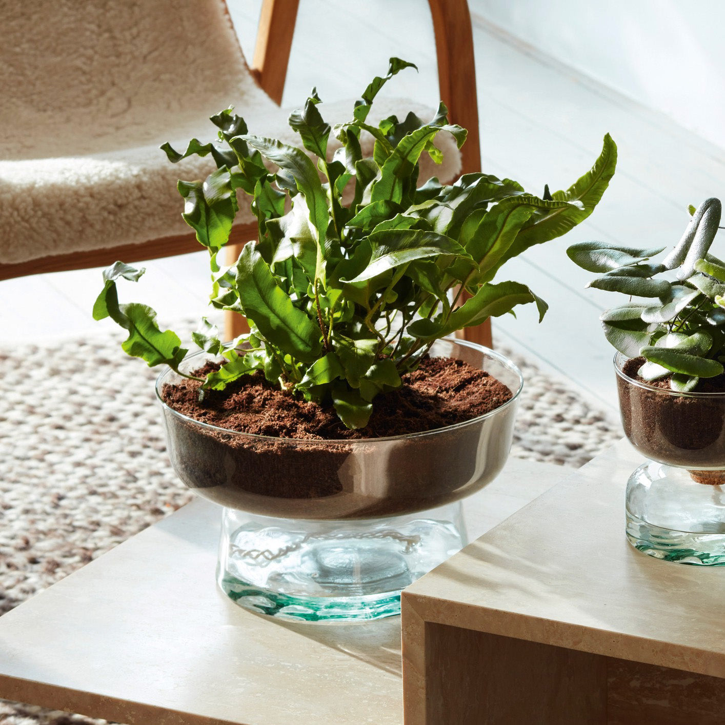 lsa self watering planter LSA's Canopy Self-Watering Planter
