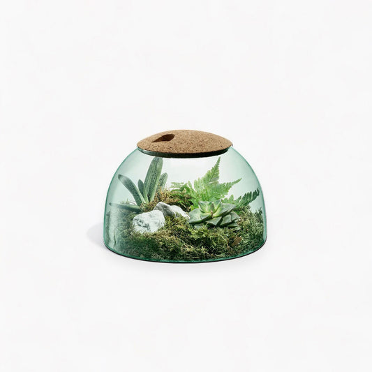 Canopy Terrarium