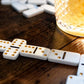 Travel Domino Set