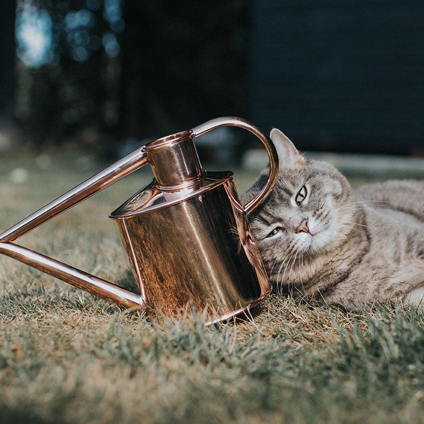 Rowley Ripple Watering Can