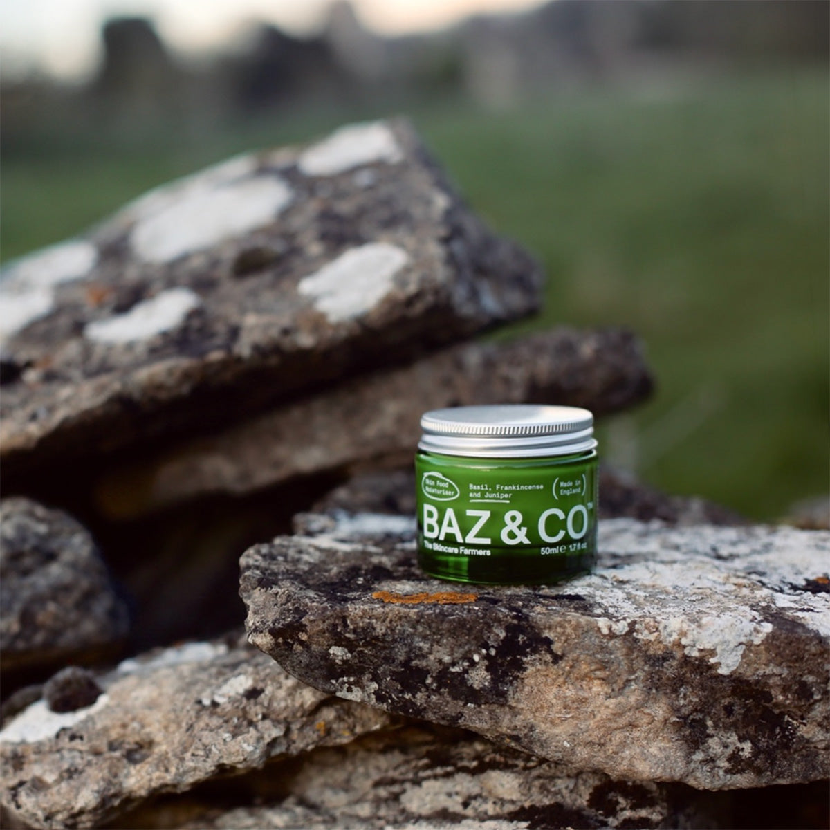 Skin Food Moisturiser