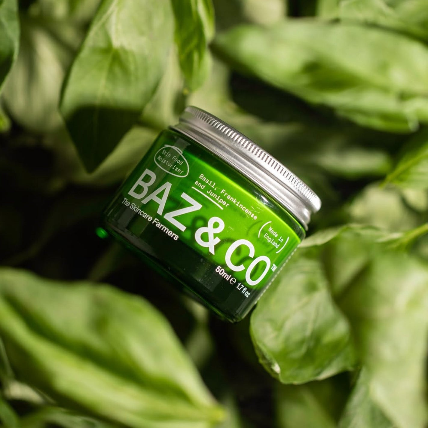 Skin Food Moisturiser