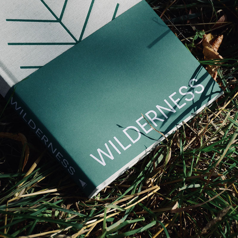 Wilderness