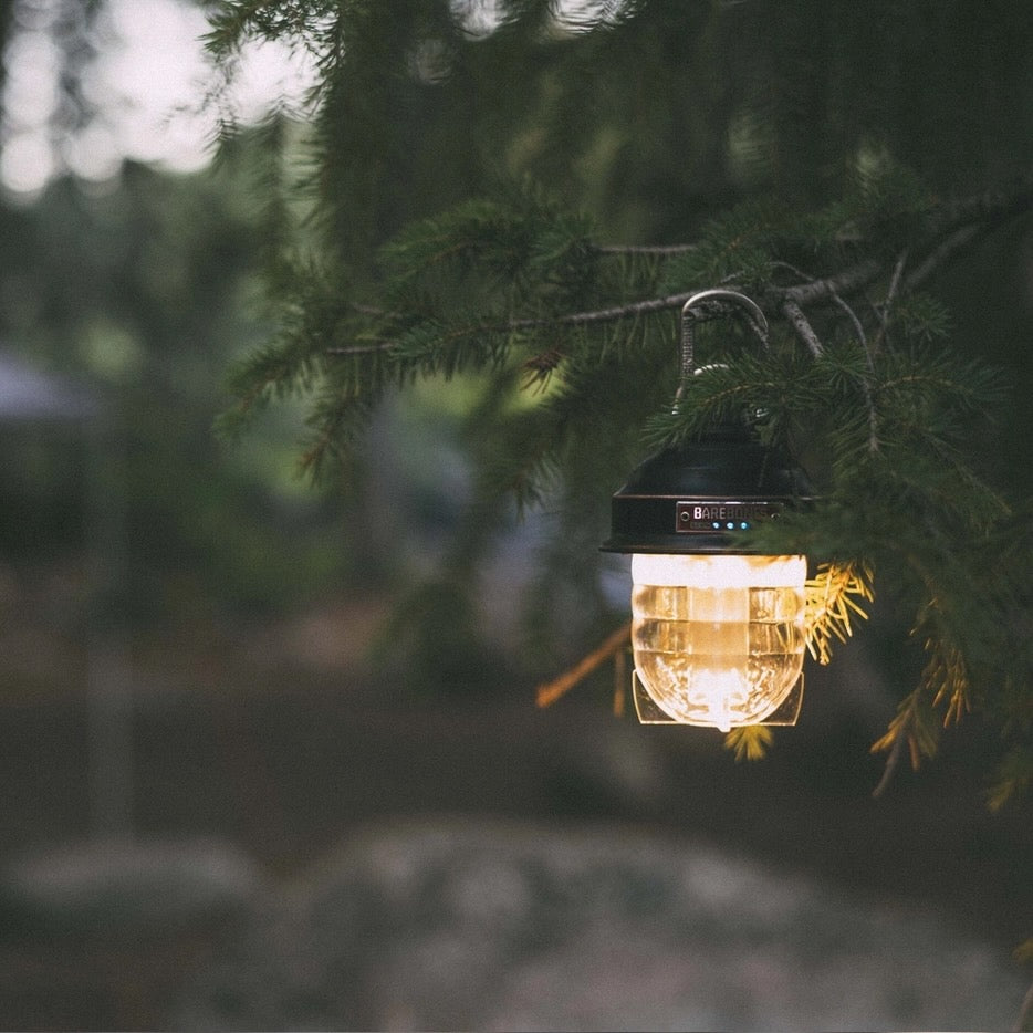 Beacon Hanging Lantern (Vintage Bronze)