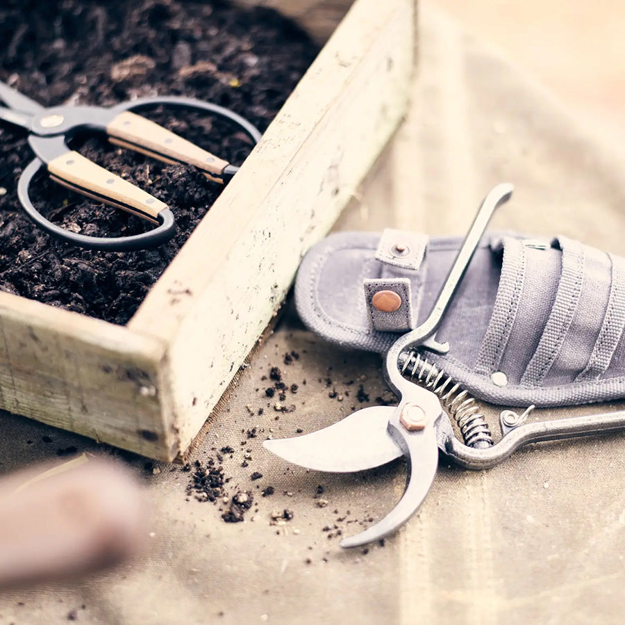 Pruning Shears + Sheath