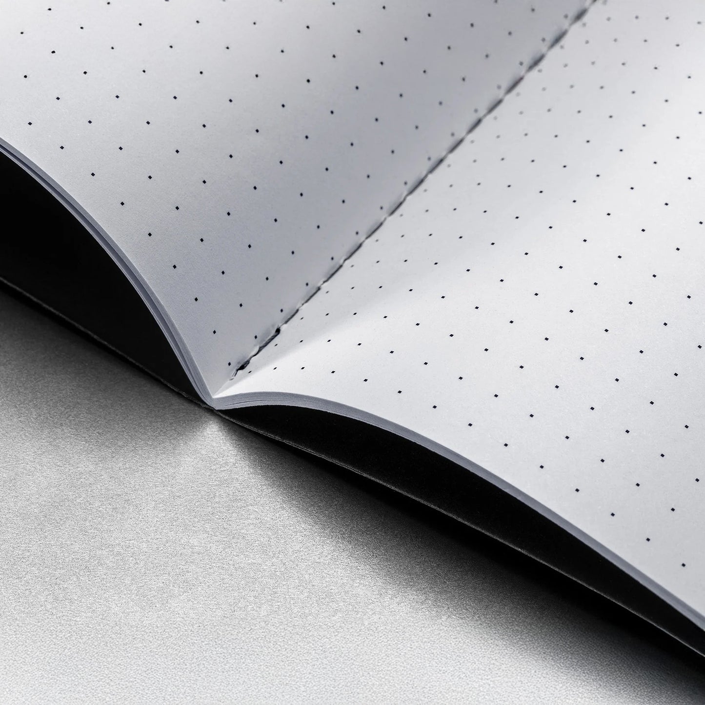 Daily Notebooks