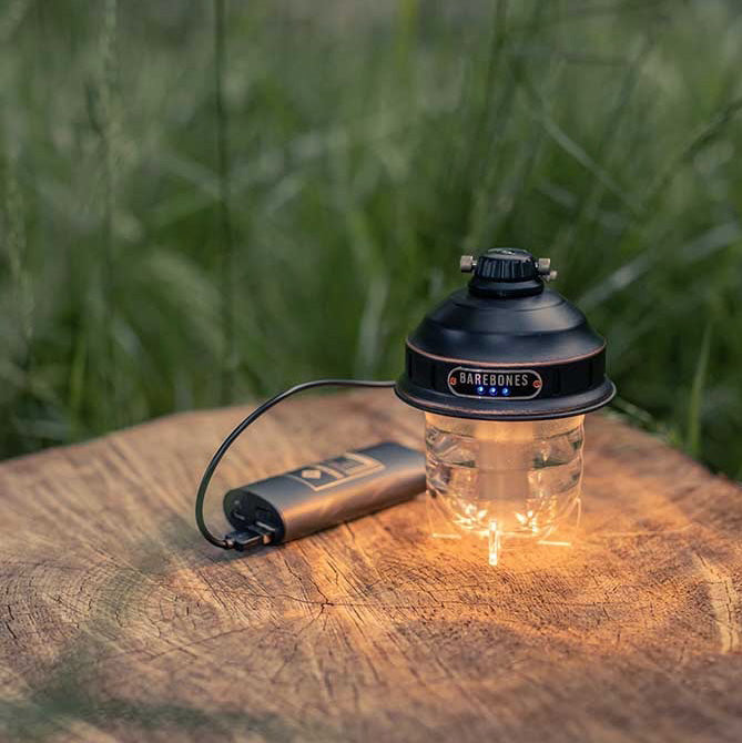 Beacon Hanging Lantern (Vintage Bronze)