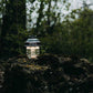 Beacon Hanging Lantern (Vintage Bronze)