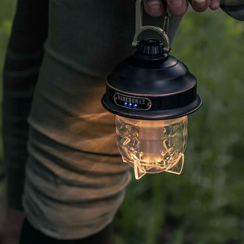 Beacon Hanging Lantern (Vintage Bronze)