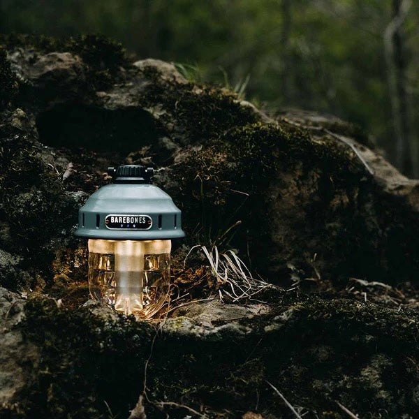 Beacon Hanging Lantern (Olive)