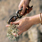 Pruning Shears + Sheath