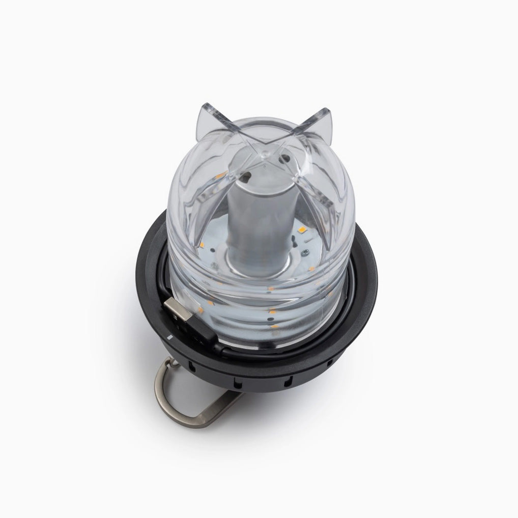 Beacon Hanging Lantern (Vintage Bronze)