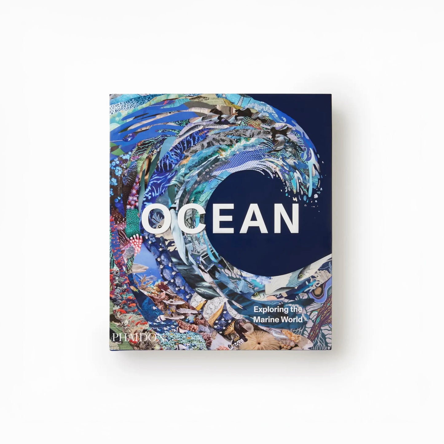Ocean: Exploring the Marine World